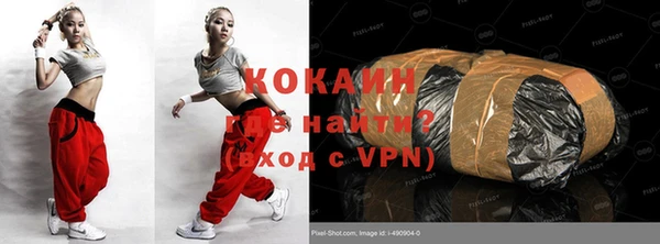 сатива Белокуриха