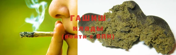 сатива Белокуриха