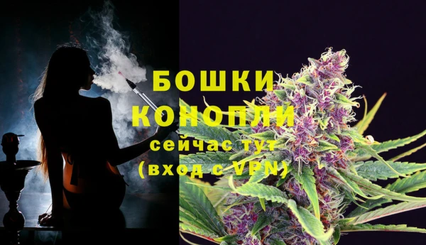 сатива Белокуриха
