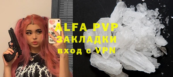 сатива Белокуриха