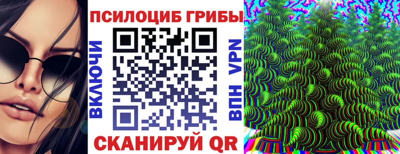 Псилоцибиновые грибы Psilocybe  где купить наркотик  Нерюнгри 
