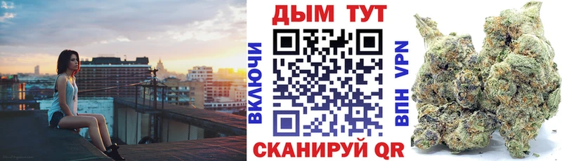 МАРИХУАНА план  купить наркотик  Нерюнгри 